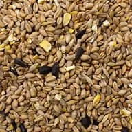 Wild Bird Feed Mixed Seed 1KG When Packed