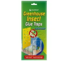 Greenhouse Insect Glue Traps x2