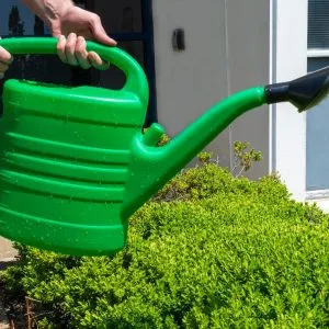 Large 10L Watering Can