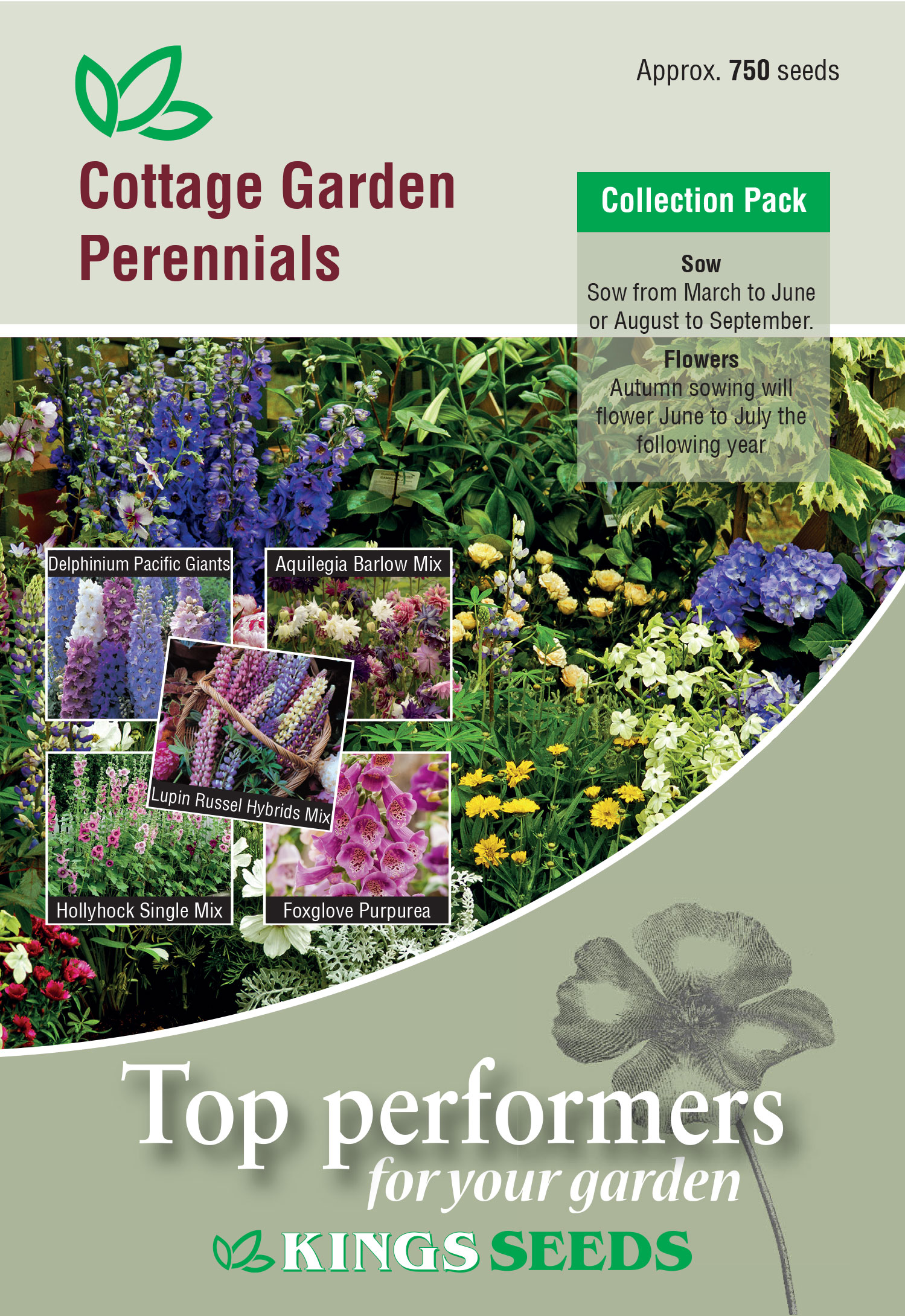 Cottage Garden Perennials Collection