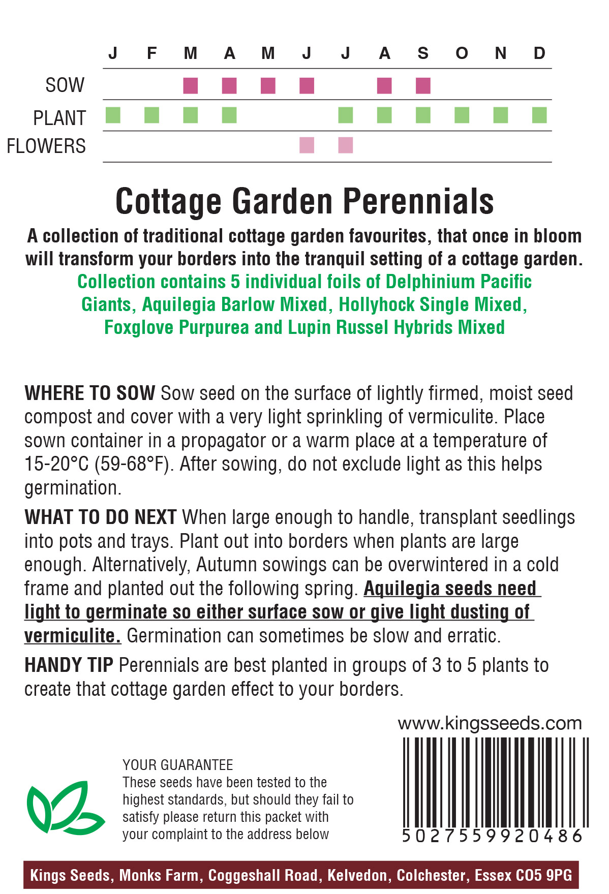 Cottage Garden Perennials Collection - Image 2