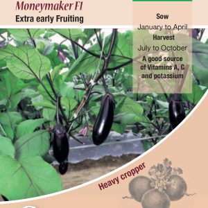 Aubergine - Money Maker F1 (Solanum melongena)
