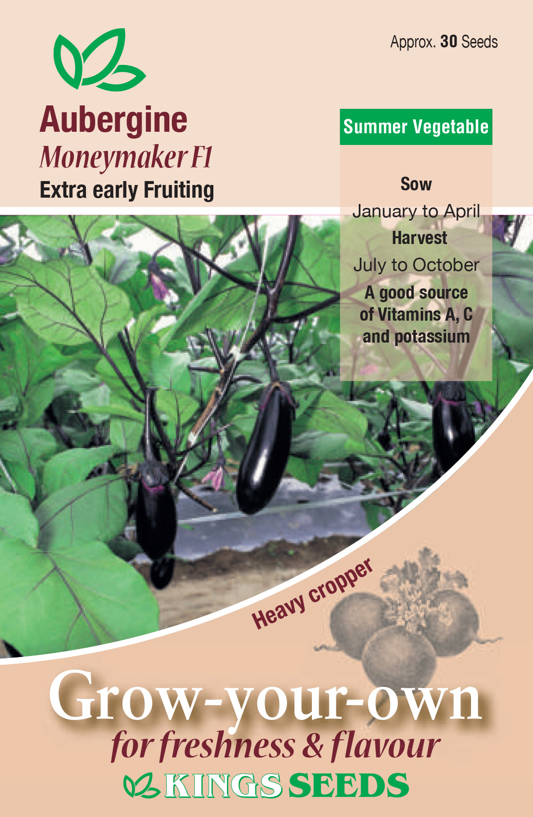 Aubergine - Money Maker F1 (Solanum melongena)