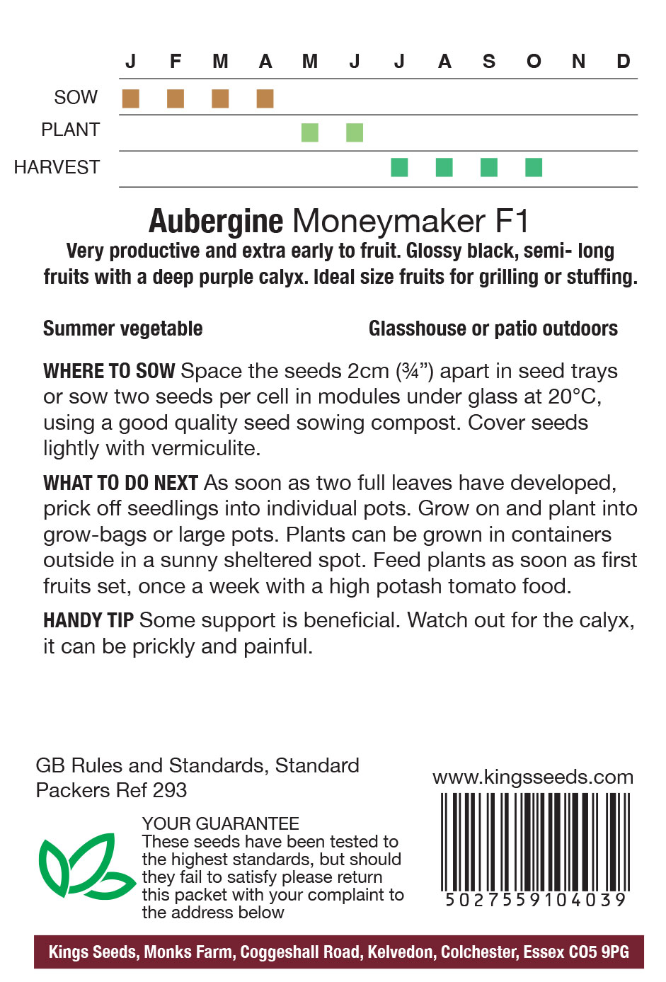 Aubergine - Money Maker F1 (Solanum melongena) - Image 2