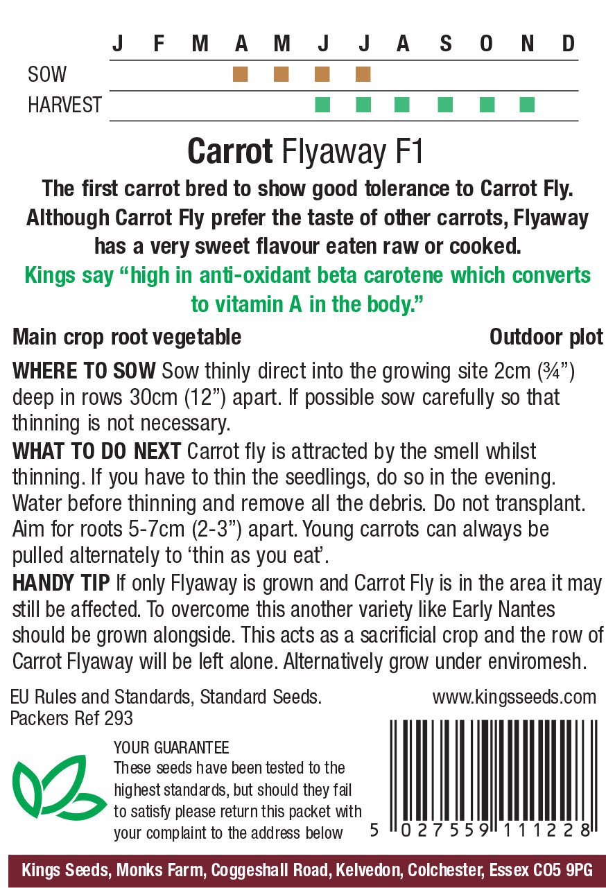 Carrot Flyaway F1 - Image 2