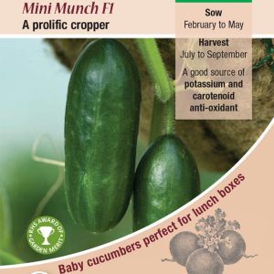Cucumber - Mini Munch F1