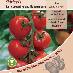 Tomato Shirley F1
