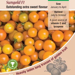 Tomato - Sungold F1