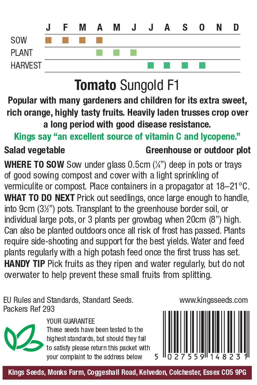 Tomato - Sungold F1 - Image 2