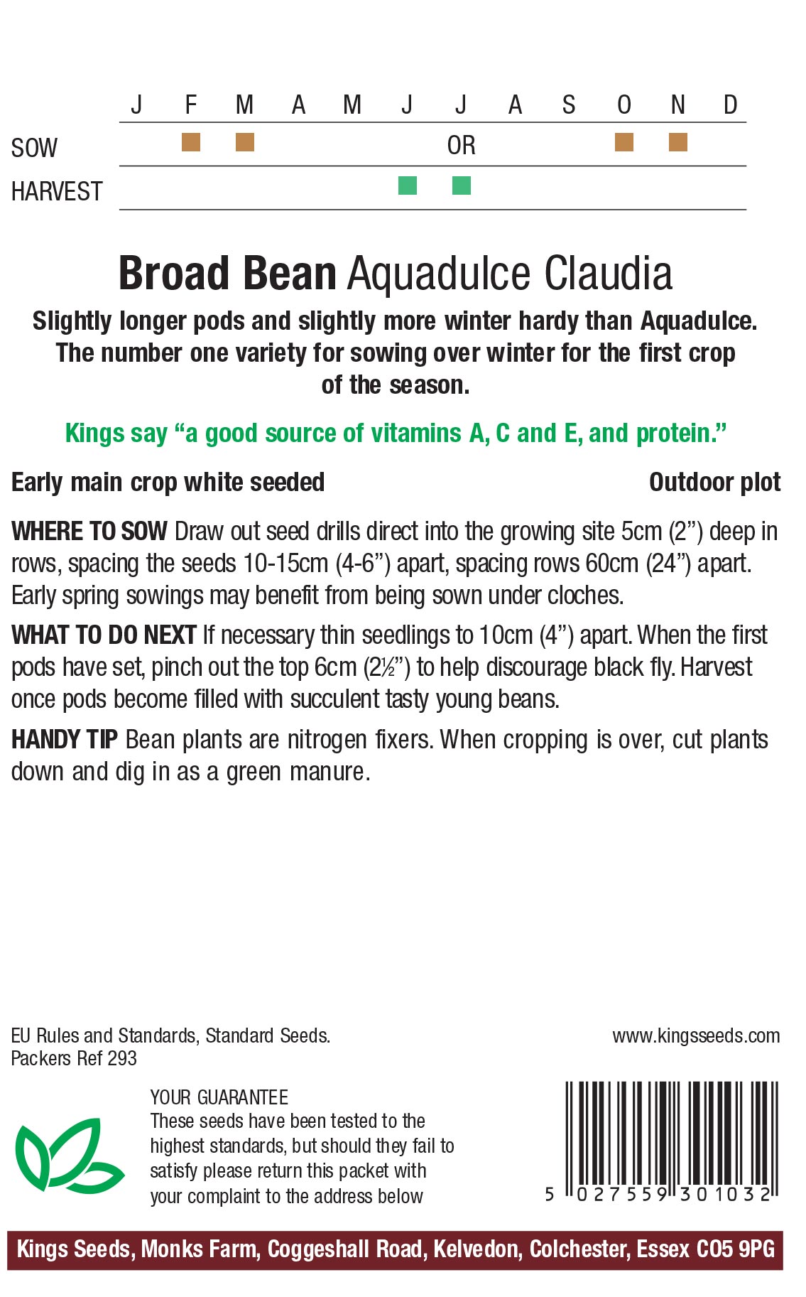 Broad Bean – ‘Aquadulce Claudia’ - Image 2