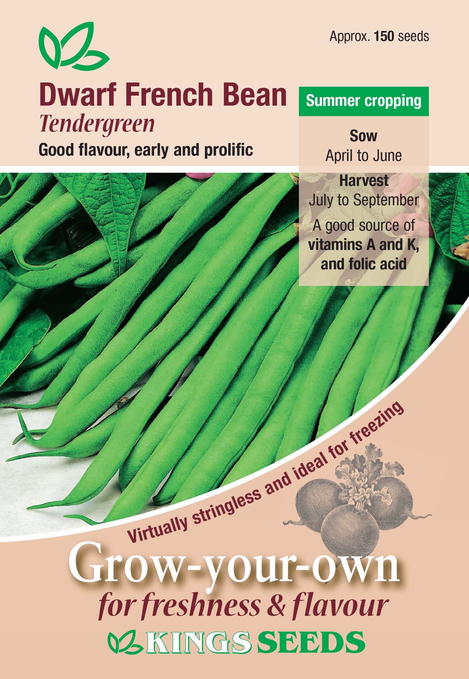 Dwarf French Bean – ‘Tendergreen’