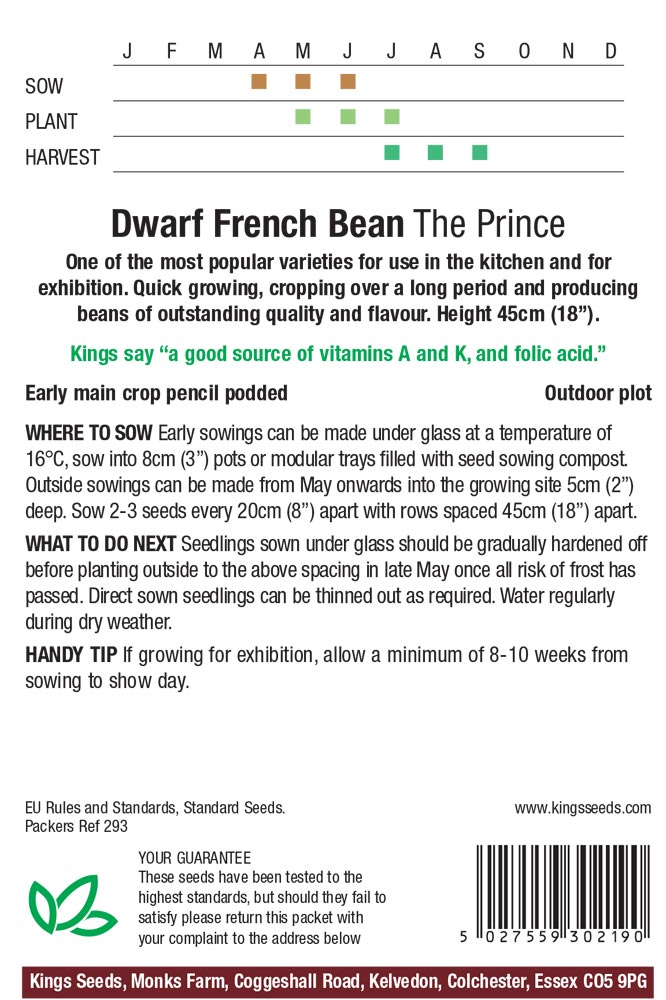 Dwarf French Bean – ‘The Prince’ - Image 2