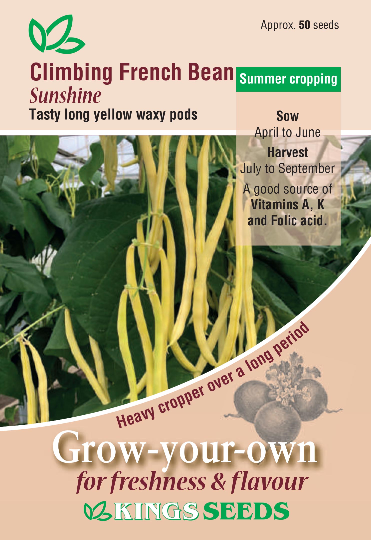 Climbing French Bean – ‘Sunshine’