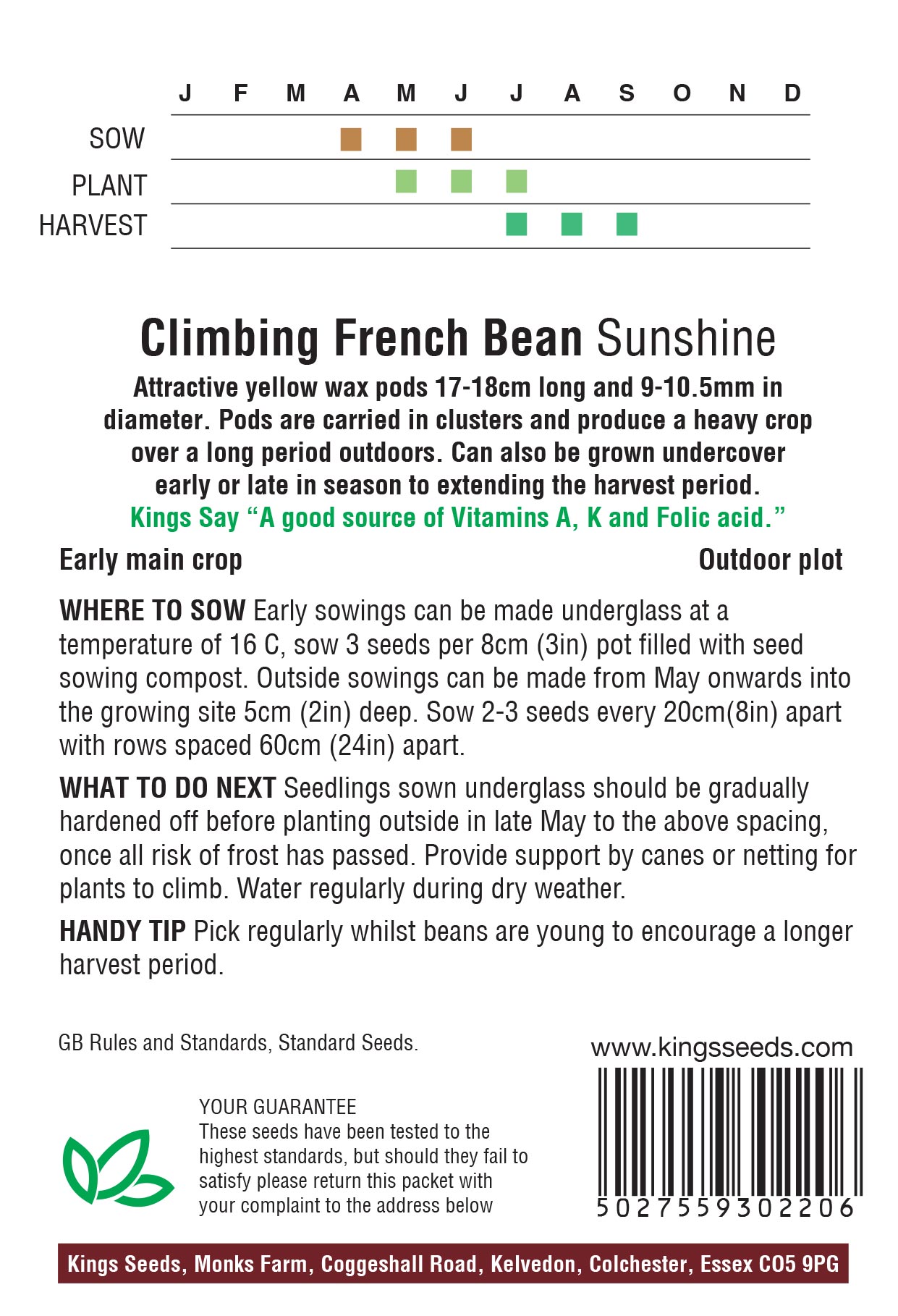 Climbing French Bean – ‘Sunshine’ - Image 2