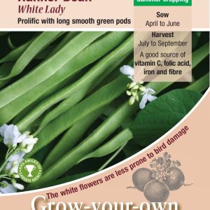 Runner Bean 'White Lady'