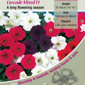 Petunia Cascade Mixed F1 - HHA