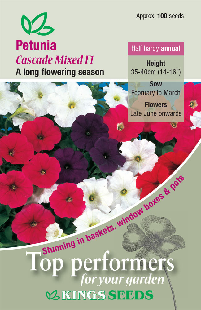 Petunia Cascade Mixed F1 - HHA