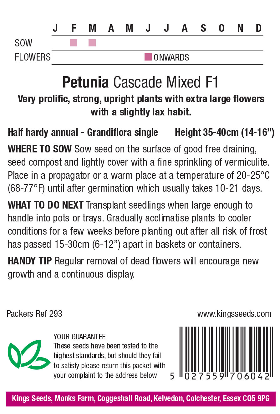 Petunia Cascade Mixed F1 - HHA - Image 2
