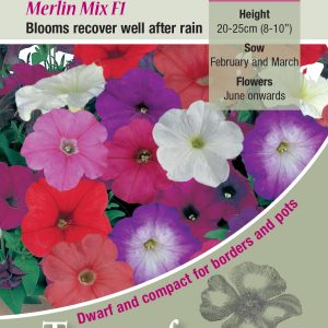 Petunia Merlin Mixed F1 - HHA