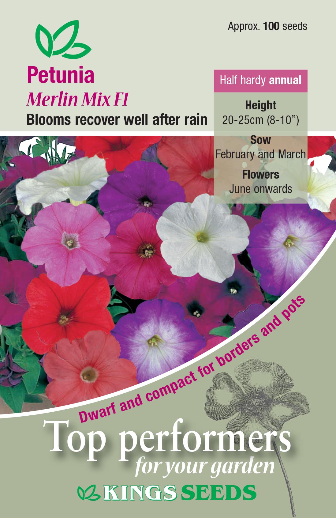 Petunia Merlin Mixed F1 - HHA