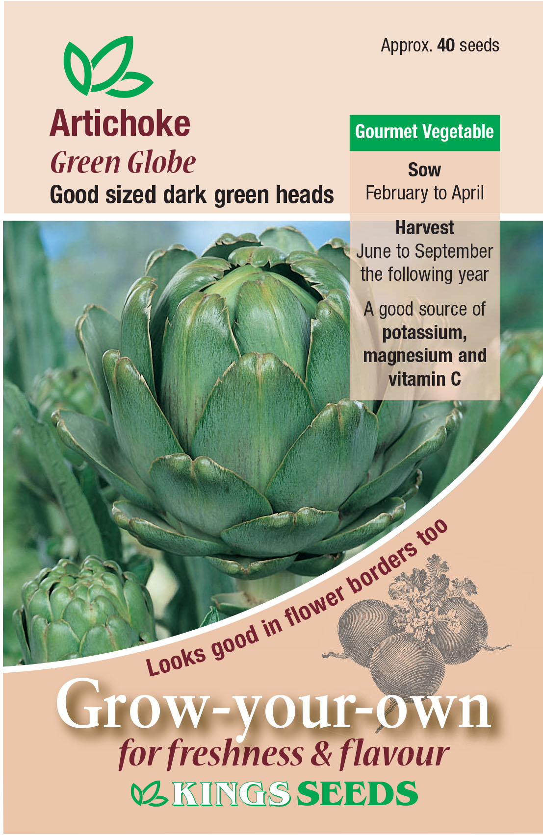 Artichoke - Green Globe