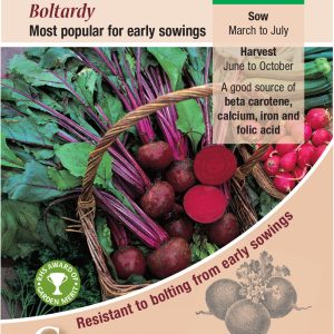 Beetroot - Boltardy