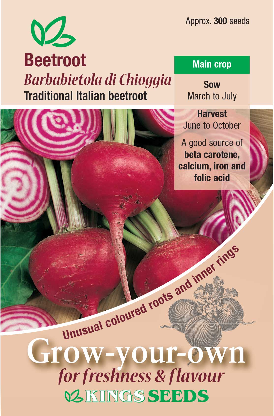 Beetroot Barbabietola di Chioggia
