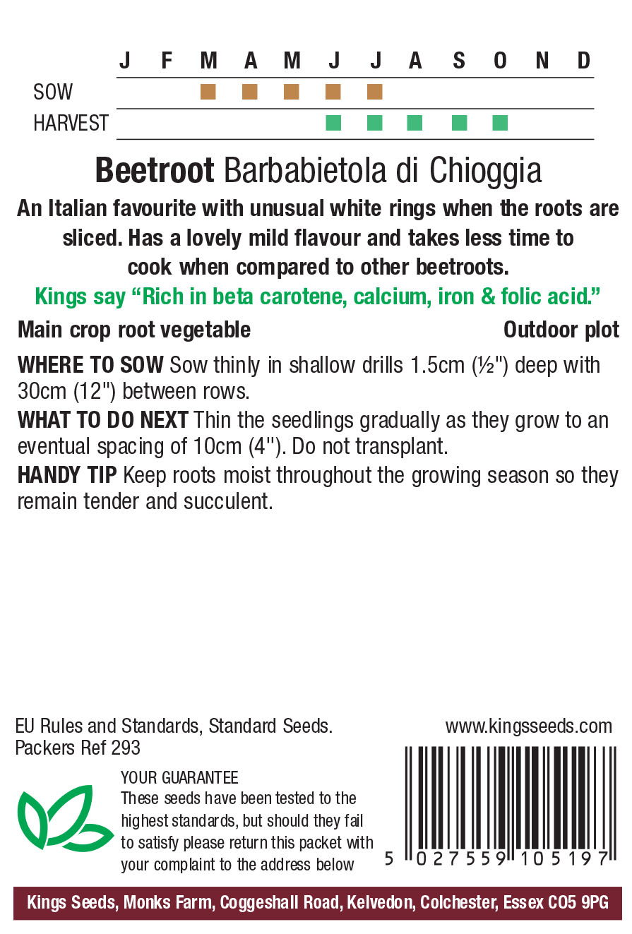 Beetroot Barbabietola di Chioggia - Image 2