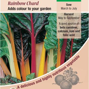Leaf Beet Rainbow Chard - (Beta vulgaris)