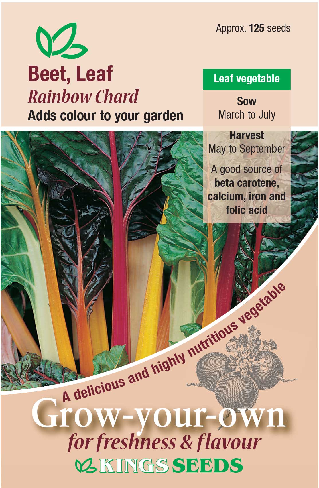 Leaf Beet Rainbow Chard - (Beta vulgaris)