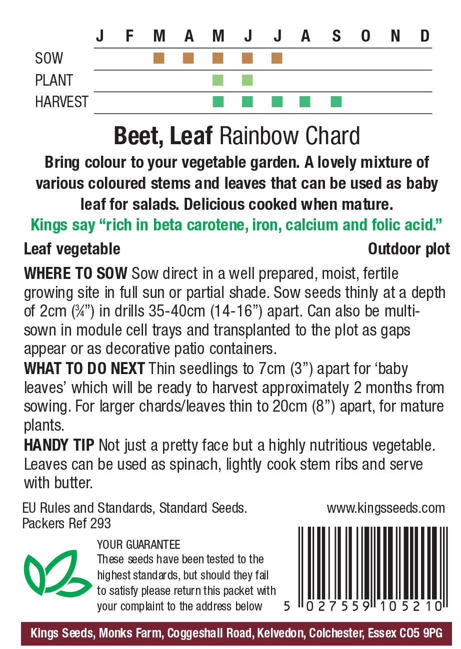 Leaf Beet Rainbow Chard - (Beta vulgaris) - Image 2