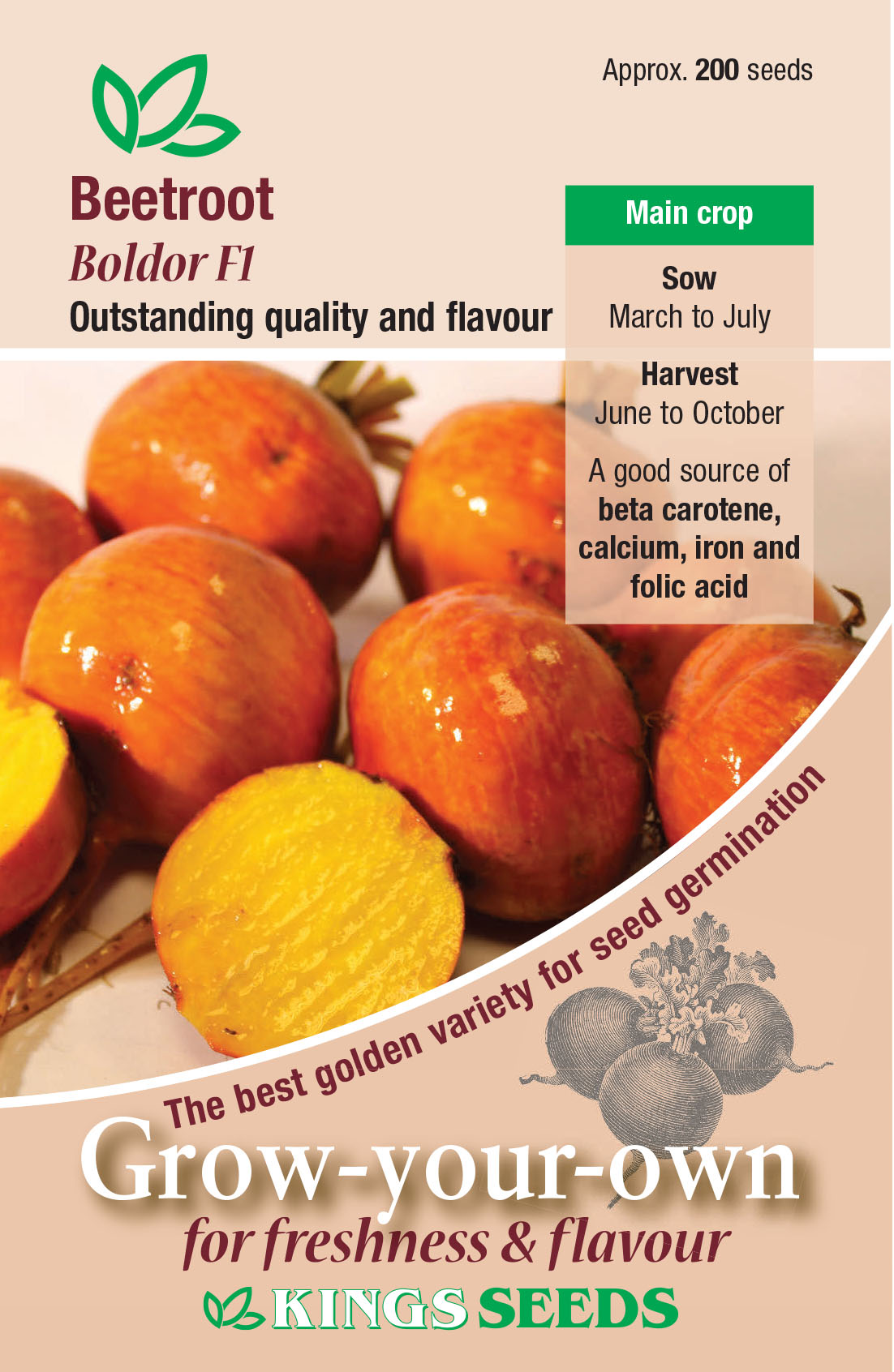 Beetroot - Boldor F1