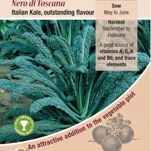 Kale - Borecole Nero Di Toscana