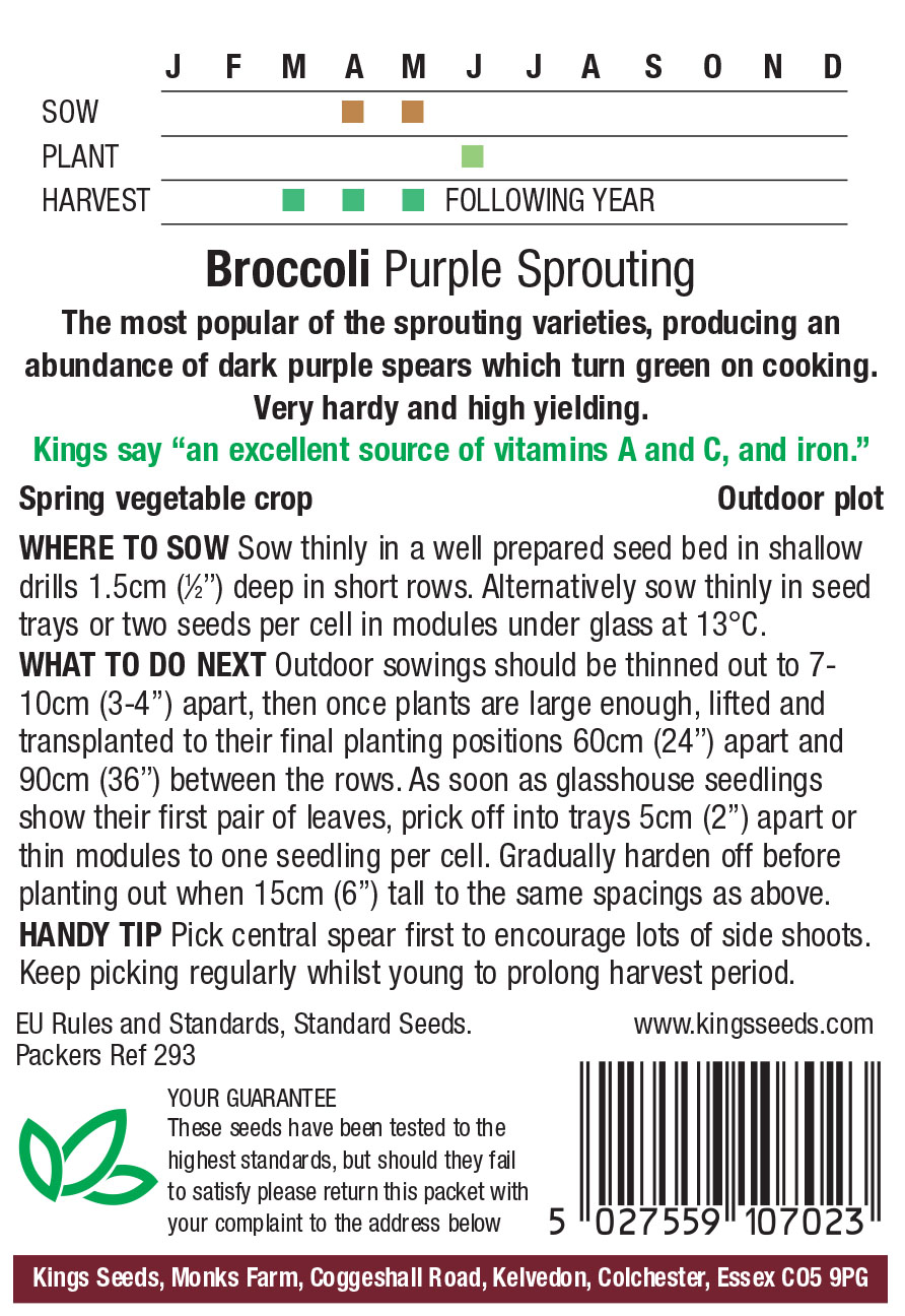Broccoli Purple Sprouting - Image 2