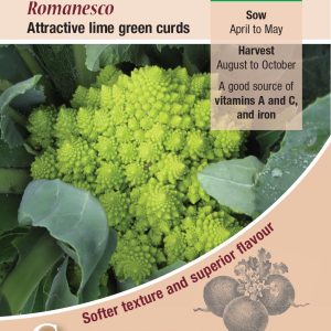 Cauliflower - Romanesco
