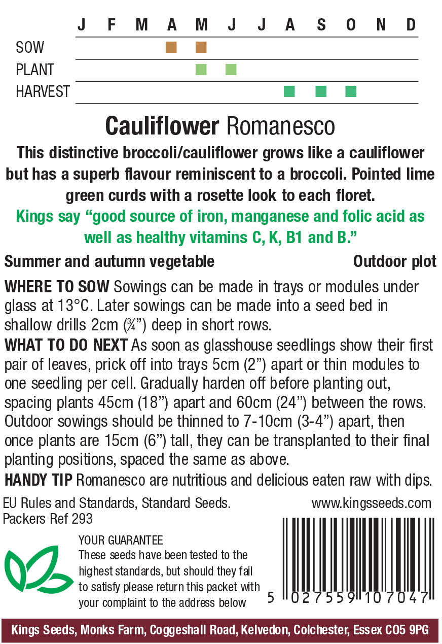 Cauliflower - Romanesco - Image 2