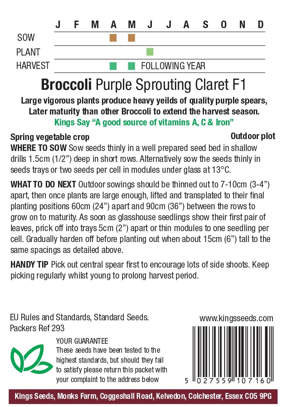 Broccoli Purple Sprouting Claret F1 - Image 2