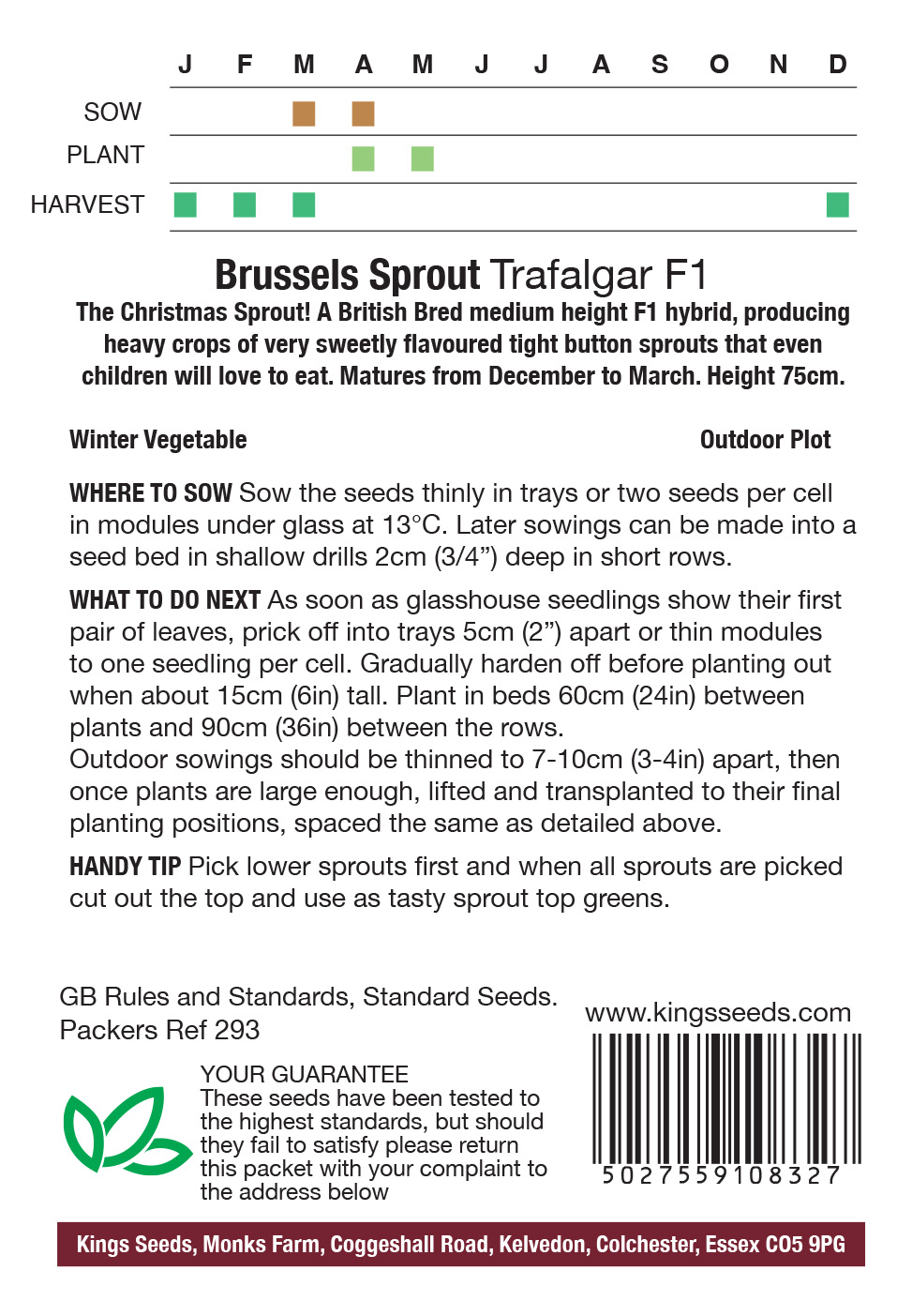 Brussels Sprout Trafalgar F1 - Image 2
