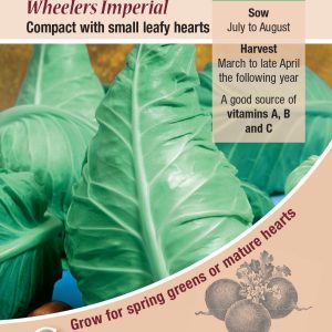 Cabbage - Wheelers Imperial
