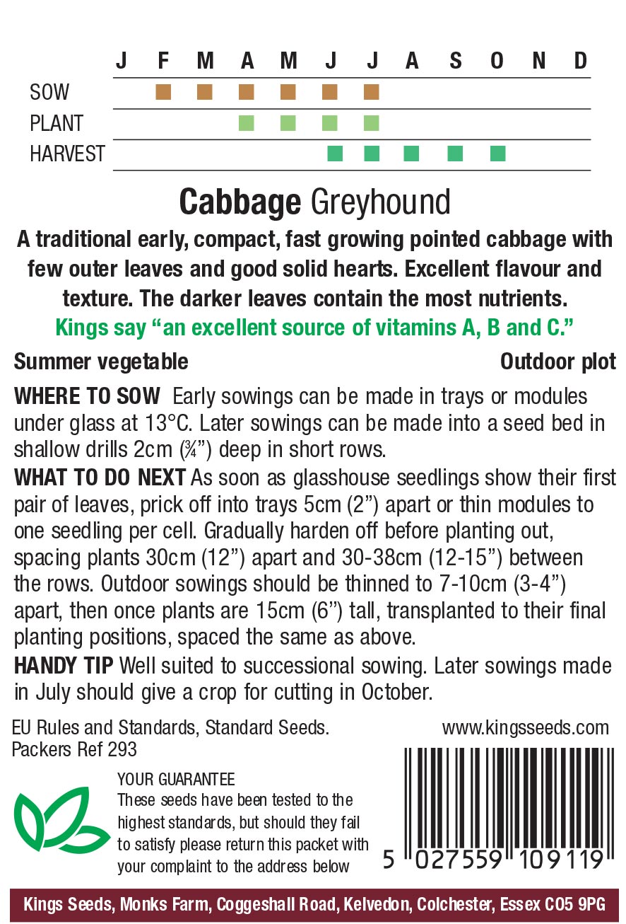 Cabbage - Greyhound - Image 2