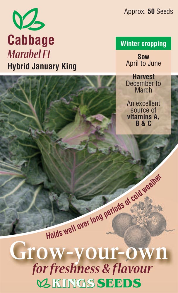 Cabbage - January King Marabel F1