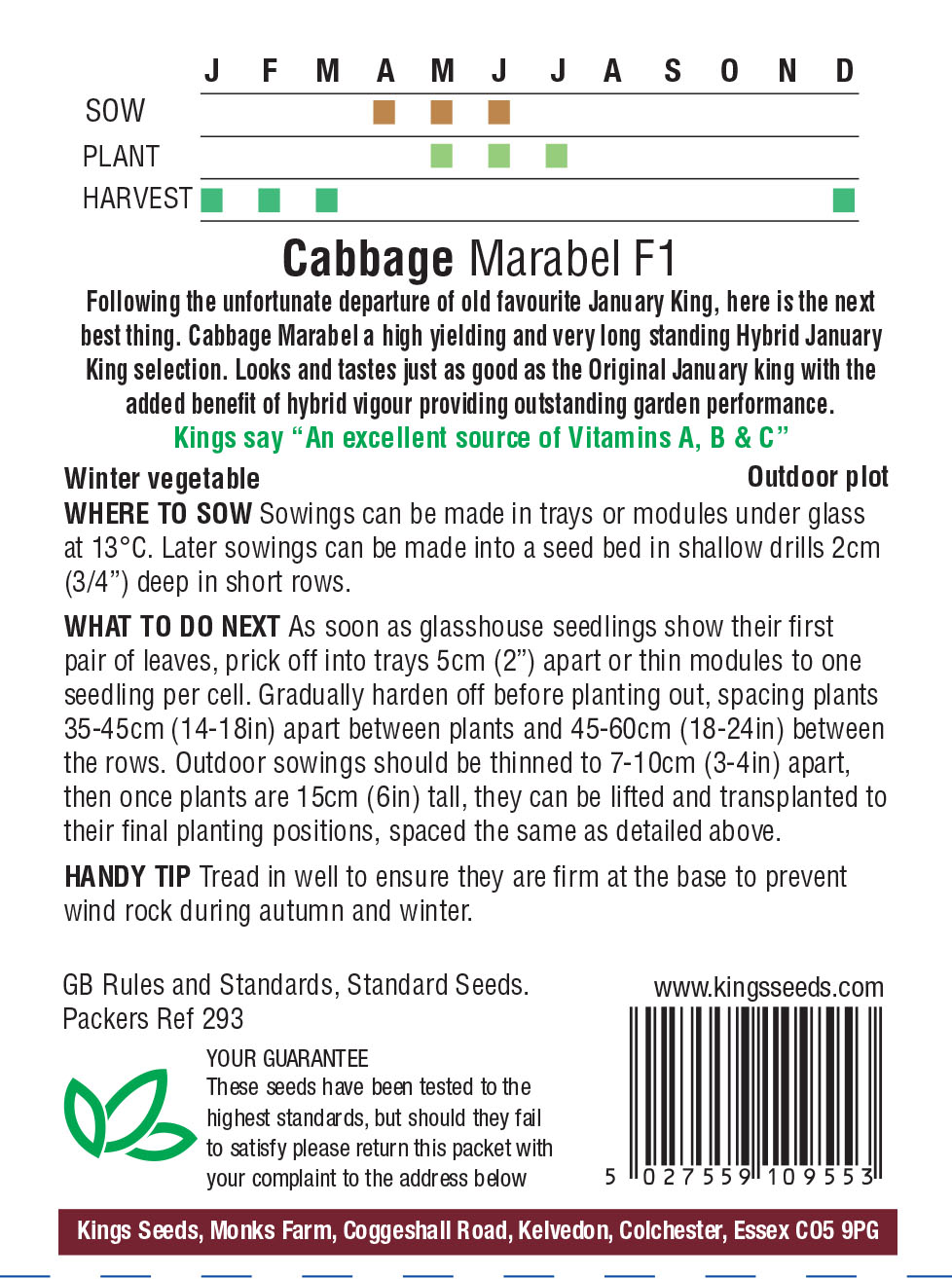 Cabbage - January King Marabel F1 - Image 2