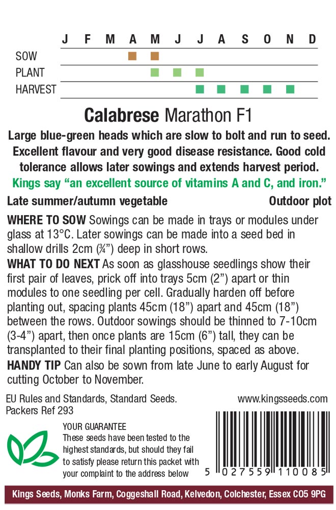 Calabrese - Marathon F1 - Image 2