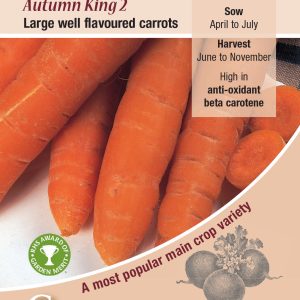 Carrot - Autumn King 2