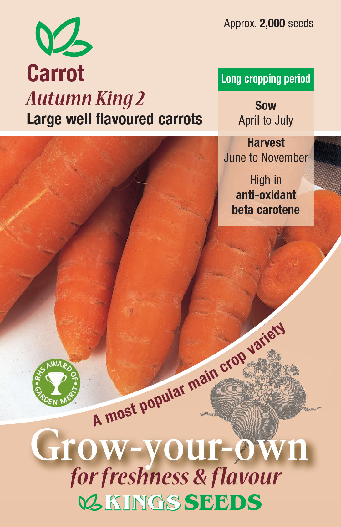 Carrot - Autumn King 2