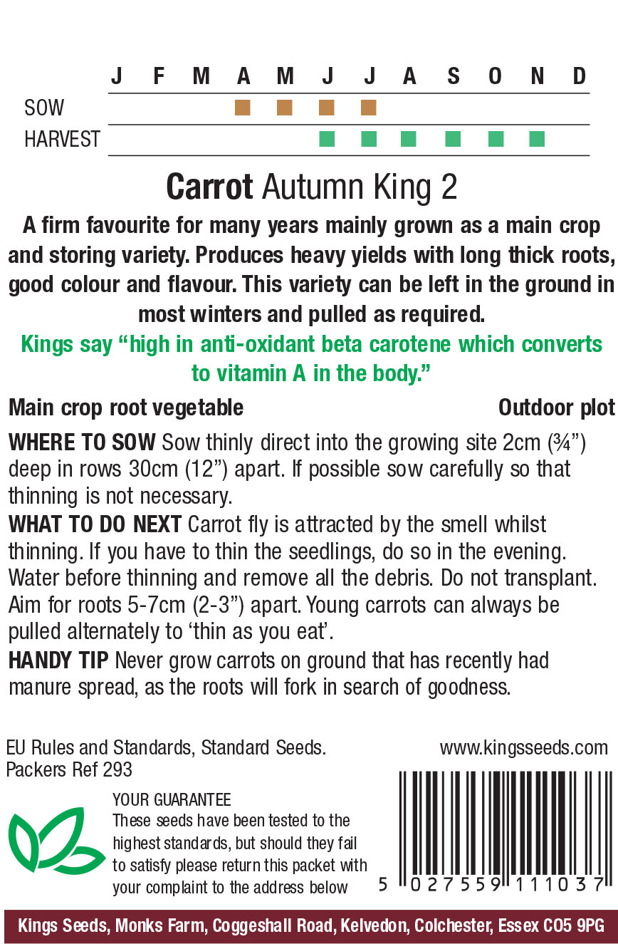 Carrot - Autumn King 2 - Image 2