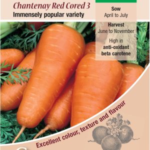 Carrot - Chantenay Red Cored 3
