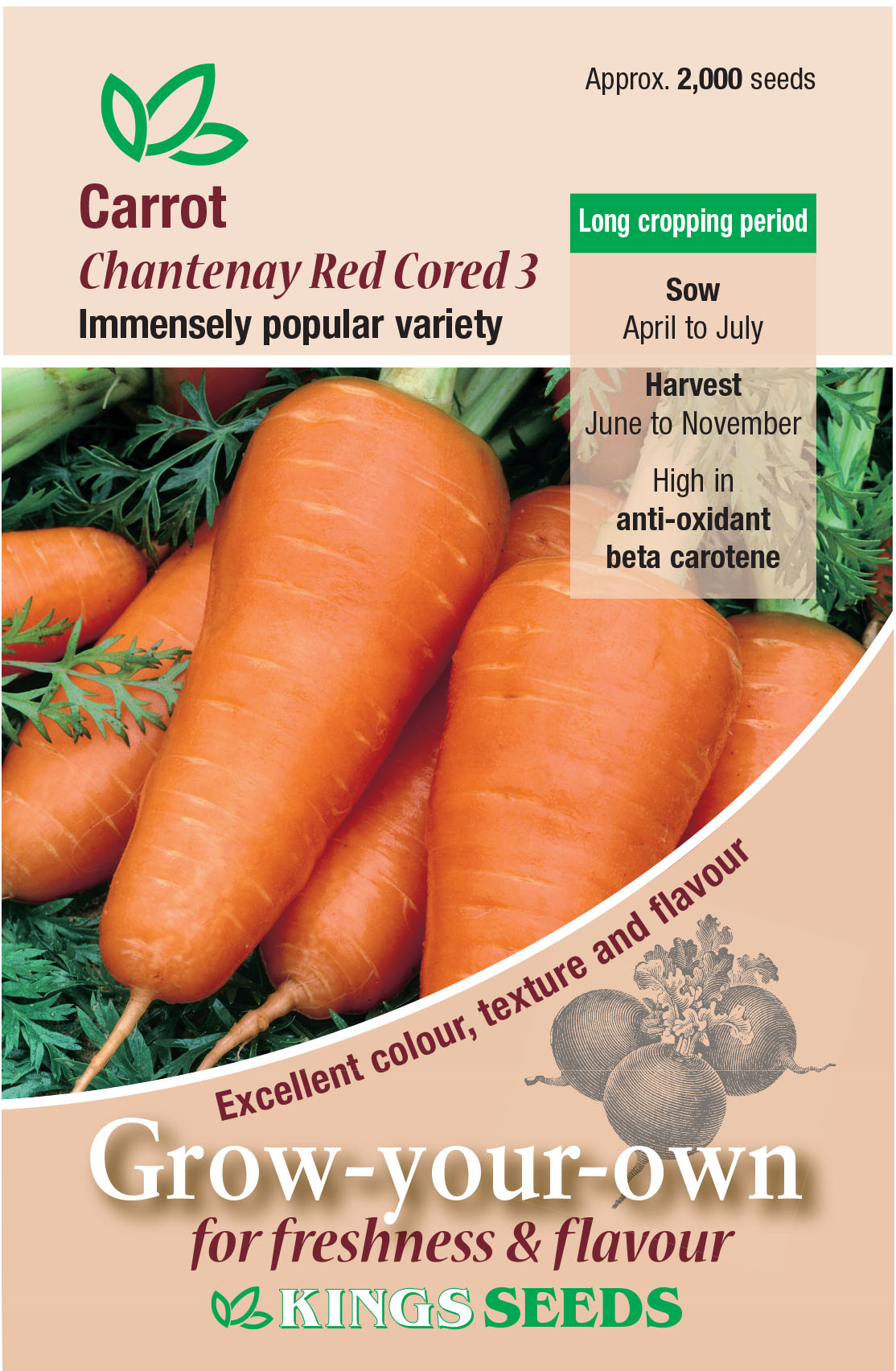 Carrot - Chantenay Red Cored 3