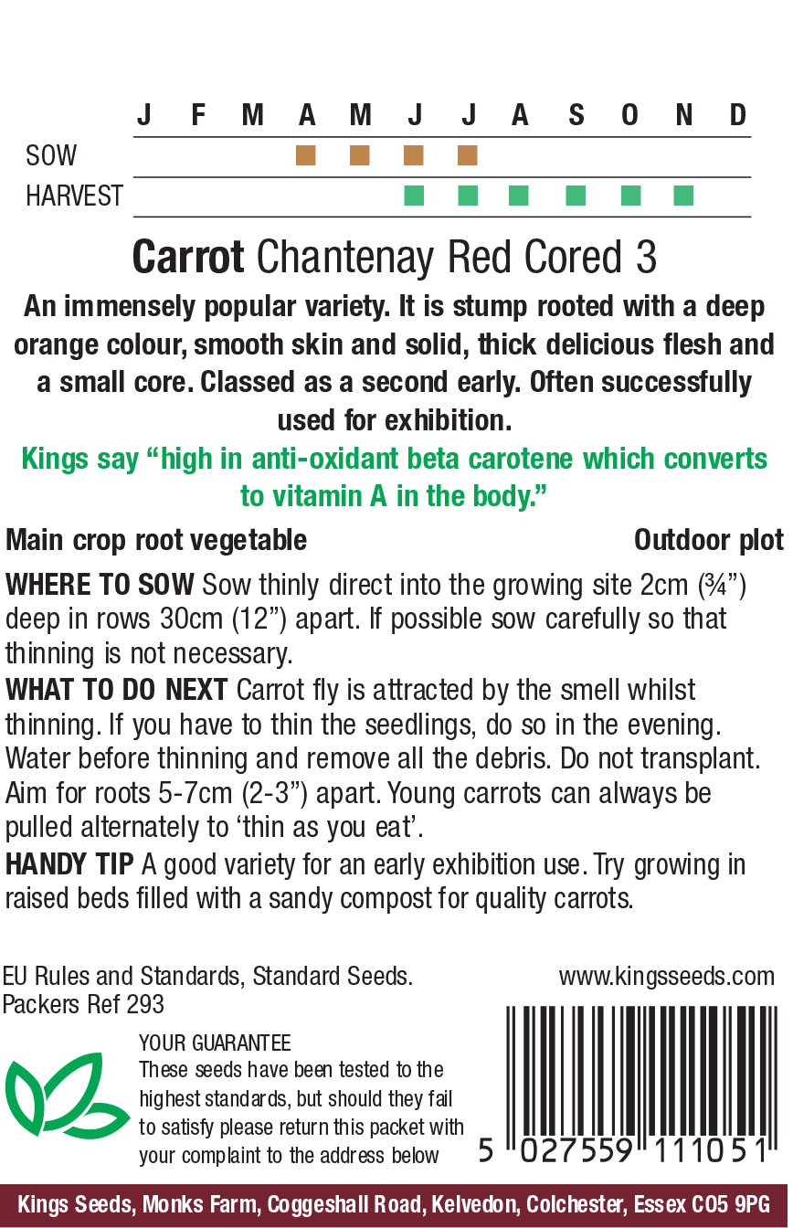 Carrot - Chantenay Red Cored 3 - Image 2