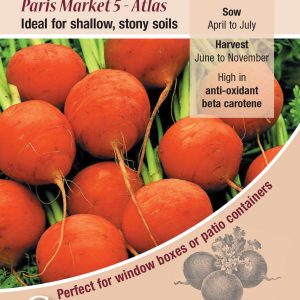 Carrot - Paris Market 5 - Atlas